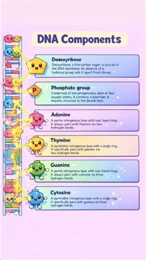 Components of DNA #biology #neetbiology #science #animation #education #trendingshorts #ytshorts