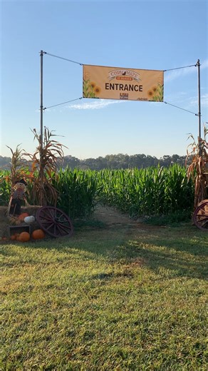 11K views · 102 reactions | Tickets for the LSU AgCenter Corn Maze are now available! Purchase them here: https://tinyurl.com/CornMaze24 | LSU AgCenter | Facebook