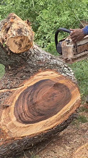 916K views · 3.7K reactions | Very clever at tidying up chainsaw operator wood | Suprapto | Facebook