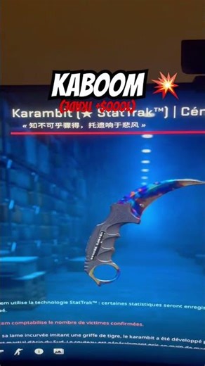karambit StatTrake Case hardened ! #csgo #counterstrike #gaming #wtfcsgo #cs2 #karambitknife
