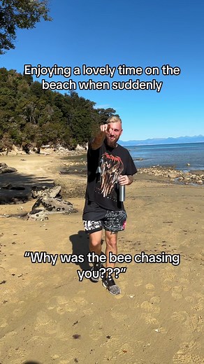 Unexpected Encounter with Bees on the Beach