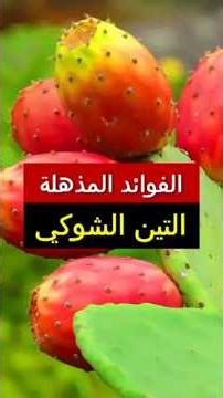 فوائد التين الشوكي المذهلة 😍 #صحتك_أهم #الصحة_الرجالية #دايت #فوائد #وصفات #اكسبلور #الصباره #shorts
