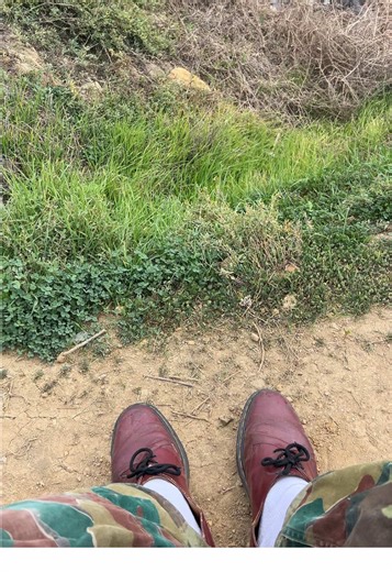 Explore Vintage Clothing Trends and Fashion Insights