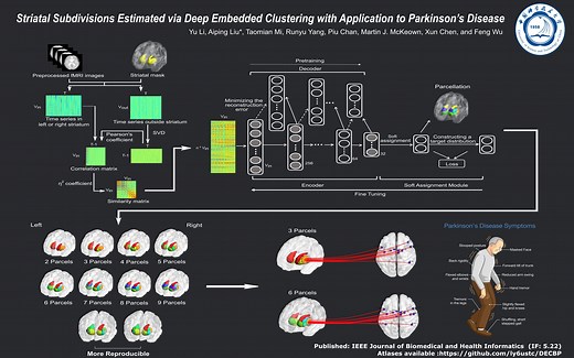【06】Striatal Subdivisions Estimated via Deep Embedded Clustering with Applicatio