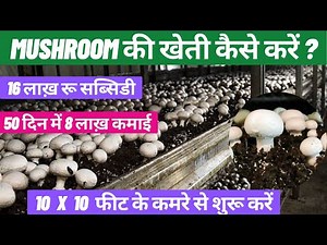 How is mushroom farming done? Earn lakhs in a small space. Mushroom farming and subsidy information.