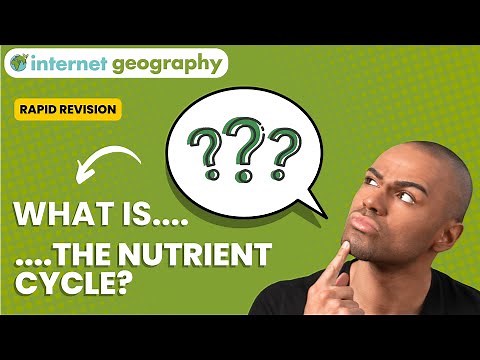 What is the nutrient cycle?