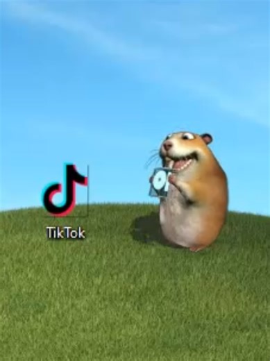 Chomik Eats TikTok — Funny Hamster Rates It 10/10