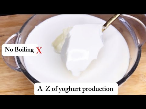 HOW TO MAKE YOGHURT I STARTING A PROFITABLE YOGHURT BUSINESS