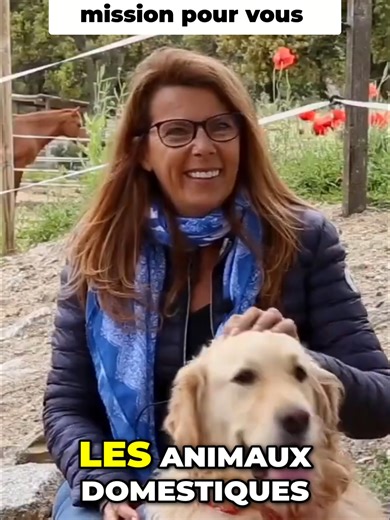 École des animaux : La goutte d’eau du colibri