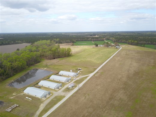 OK Farms of Cedar Creek Hog Farm and Land For Sale