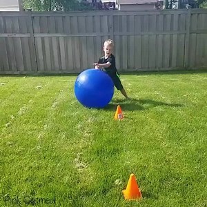 6.2K views · 113 reactions | A fun way to put exercise balls to use...