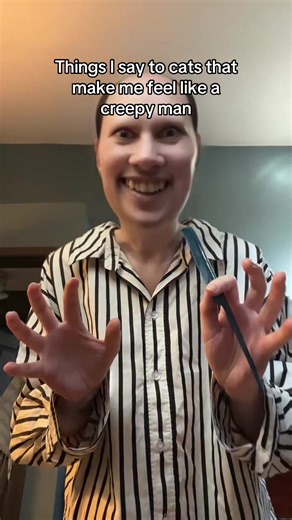 Why do cats keep running away from me | cats