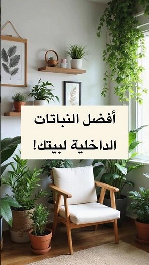 أفضل النباتات الداخلية لبيتك 🪴🍀🌿سهلة العناية ومناسبة للمبتدئين #indoorplants #plants #landscape
