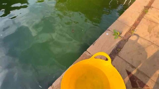 How to get a pool ready for summer properly