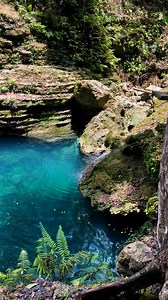 4.5K views · 23 reactions | oh heaven is a place on earth #reels #springtime #Cebu | Kyoshi Constello | Facebook