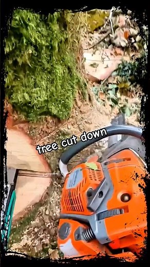 tree cut down | chainsaw | lumberjack