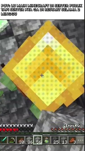 POV: Ketika Admin Lupa Restart Server Minecraft 2 Minggu 😭 #minecraft