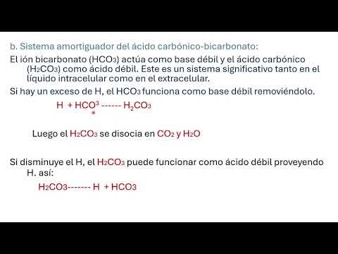 buffer acido carbonico-bicarbonato