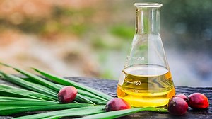 How to treat palm oil mill effluent sustainably – and create business value