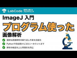 【画像解析入門 #4】ImageJの繰り返し作業を自動化！Python(Jython)スクリプトで始める画像解析の基本