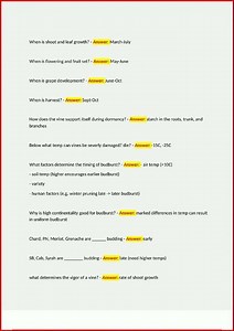 Wset Diploma D1 Actual Test Questions With Detailed Verified video