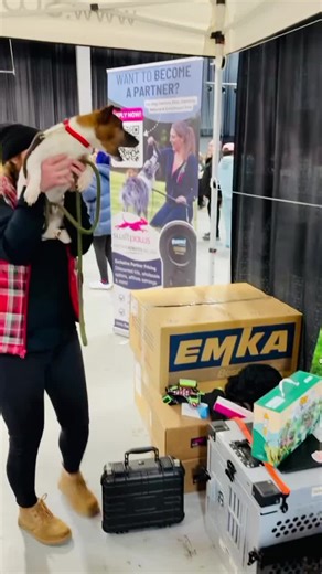 Sawyer Goes Wild for SwiftPaws at Super Pet Expo!