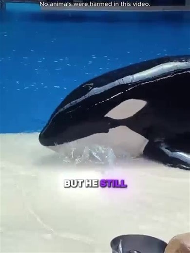 Amazing tales (@amazingtalesss)’s videos with original sound - Amazing tales