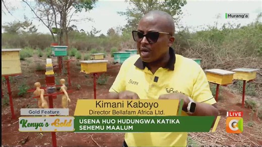 4K views · 100 reactions | Nyuki si hatari, ni daktari Chembechembe za usena wake ni dawa Usena huo hudungwa katika sehemu maalum Asali hutumika katika kusafisha vidonda Aidha usena wa nyuki husaidia kupambana na arthritis Inaaminika wakulima wa nyuki ni nadra kukutwa na magonjwa #KenyasGold | Citizen TV Kenya | Facebook