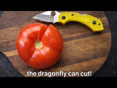 Serrated Spyderco dragonfly cut test