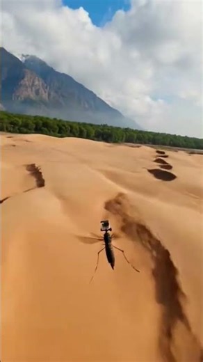 Mosquito With Camera Exploring The World | AI Video