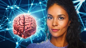 Quarks: Unser Gehirn: Faszination und Rätsel