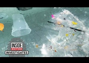 How Clean Is the Water at Some Las Vegas Pool Clubs?