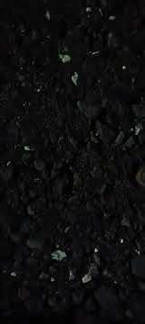 LOUD Cracker Bombs in the Park!