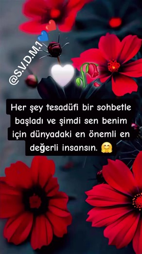 Seni Seviyorum Sen Benim Herşeyimsin Bitanem😘😘💙 ❤