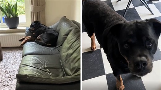 18K views · 89 reactions | So true! | Rumble | Facebook