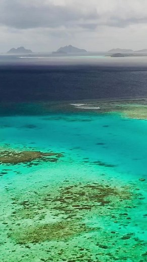 World Reef Day holds a profound significance for us at Castaway Island, Fiji. As stewards of this breathtaking paradise, we recognize the vital role reefs play in our ecosystem and the irreplaceable beauty they bring to our home. Join us in celebrating this special day as part of our wider World Ocean Month program. Our World Ocean Month activities include; 🌊1st June - Amazing Race Challenge 🌊8th June - Coral Planting 🌊15th June - Fish House Making 🌊22nd June - Underwater Clean Up 🌊 29th Ju