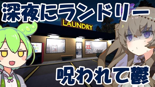ずんだもんはコインランドリーを使うそうです【LAUNDRY NIGHT】