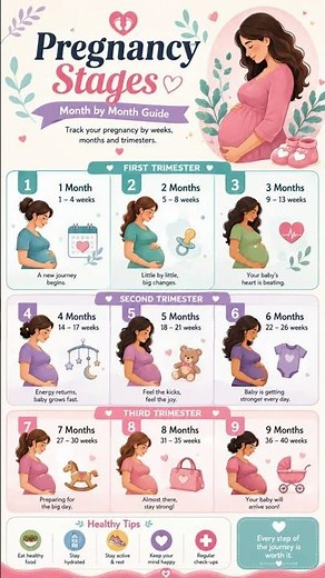 Pregnancy Stages Month by Month — What's Happening to Your Body! 🤰❤️