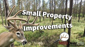 How does timber thinning and fire return interval affect plant communities and deer activity on small acreage? Marcus and Bronson discuss how this small property was transformed through thinning and fire and how deer movement was improved! To learn more, listen to the podcast linked below! https://oembed.libsyn.com/embed?item_id=9830507 | MSU Deer Lab