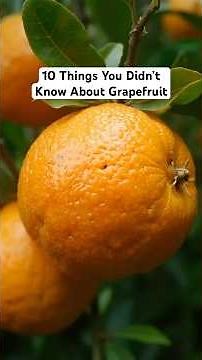 10 Amazing Facts About Grapefruit