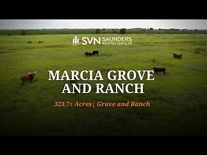 Florida Citrus Grove & Ranch For Sale | Marcia Grove and Ranch | 323.7 ± Acres | Lake Placid, FL