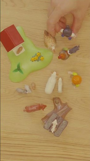 L’élevage de volailles bio, c’est quoi ? 🐓