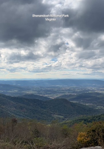 Scenic Journey on Skyline Drive at Shenandoah National Park
