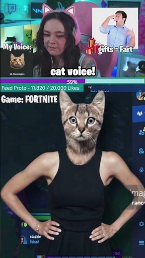 Try this Cat voice changer to make your streams purr-fect #streamingtips #gaminglife #fortniteclips