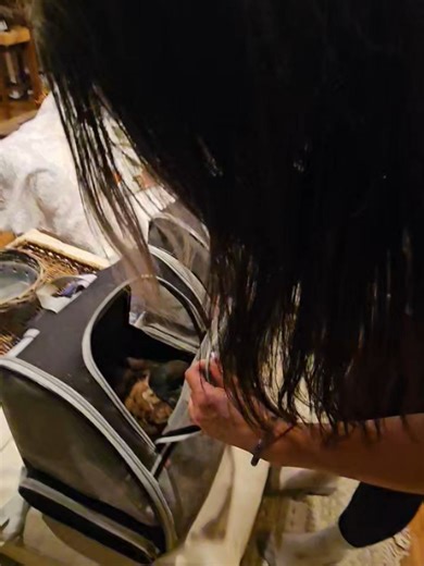 Cynthia Harris on Reels