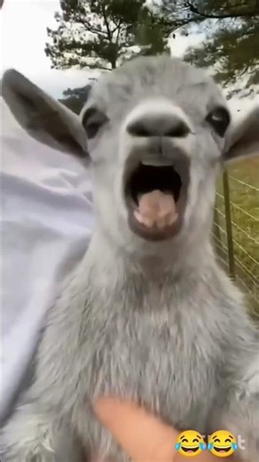 اضحك من قلبك 😂😂