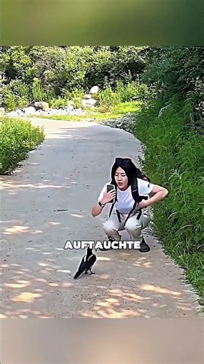 🐦✨ Der kleine Vogel fasste Vertrauen – dann geschah etwas Wunderschönes! ❤️