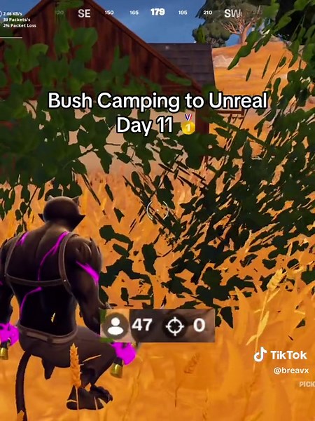 Bush Camping to Unreal Day 11