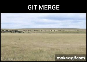 when git merge 😂😂😂 #git #programming memes on Make a GIF