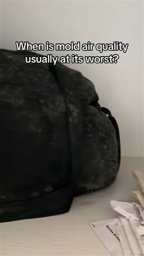 High humidity, musty odors, and mold on personal items often mean worse mold air quality.